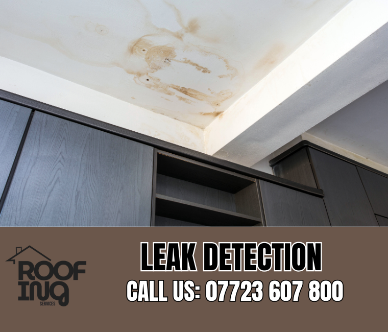 Roof Leak Detection in Mevagissey