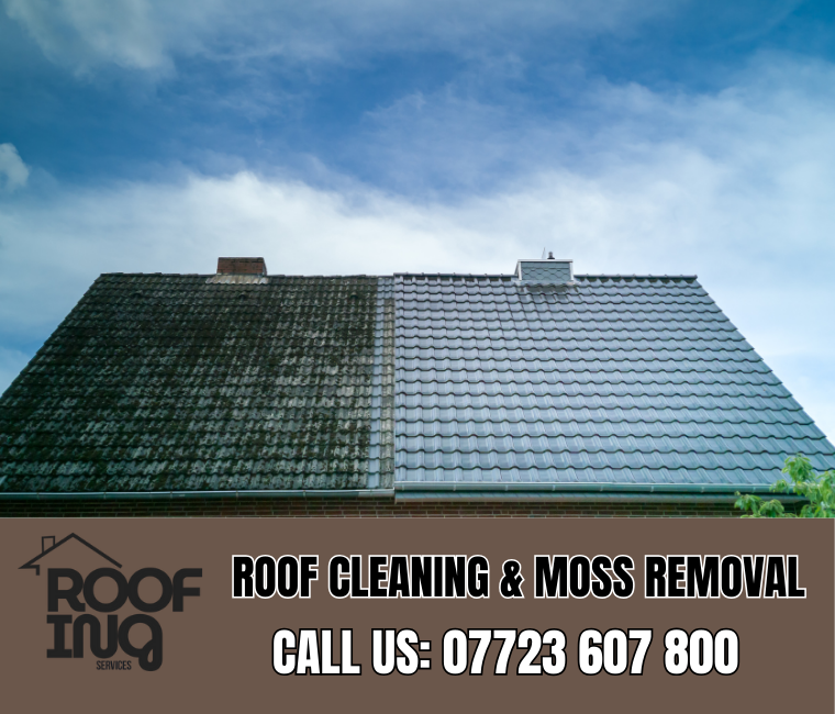 Roof Cleaning in Mevagissey
